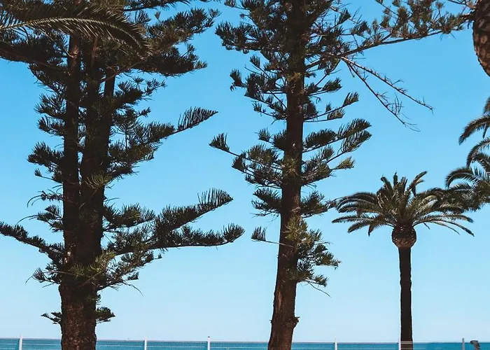 Atico Duplex Primera Linea